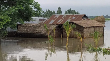 Flood crisis deepens in Kurigram: 1.5 lakh stranded as rivers swell
