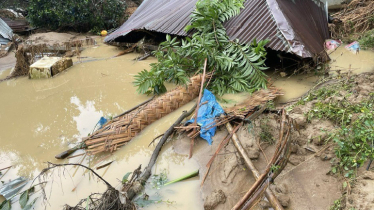 Sherpur flood situation worsens as 8 more unions are inundated