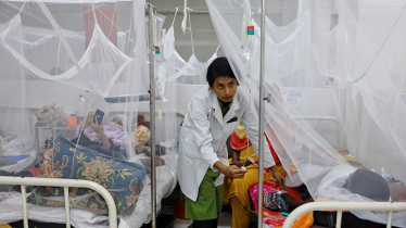 Dengue: 5 more die, 1034 hospitalised