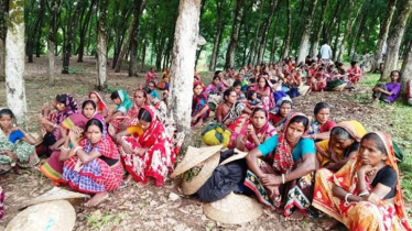 Tea workers in Sylhet strike for wage increase