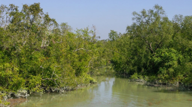 3-month ban on fishing, tourism in Sundarbans begins today