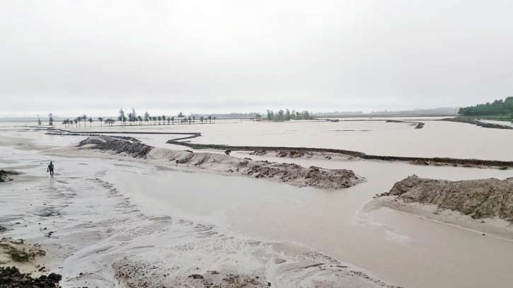 Tk 13cr loss for shrimp framers due to flooding