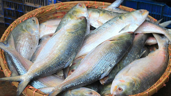 Bangladesh to export 3,000 tons of ilish to India