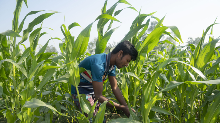 Standard Chartered and Friendship will provide marketing support to farmers