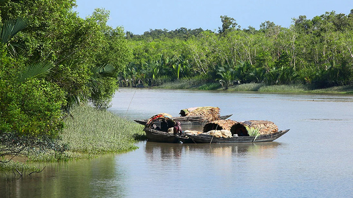 Biodiversity of Sundarbans is under threat due to climate change