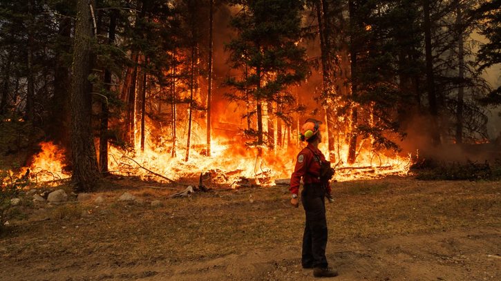 Wildfires pushed Canada into top four CO2 emitters in 2023