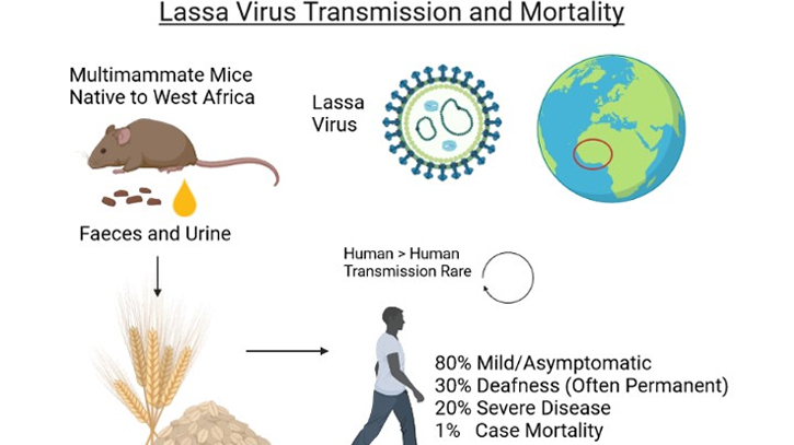 Lassa Virus Endemic in West Africa