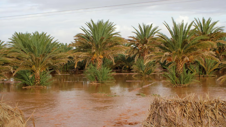 Eleven dead, nine missing in Morocco flooding