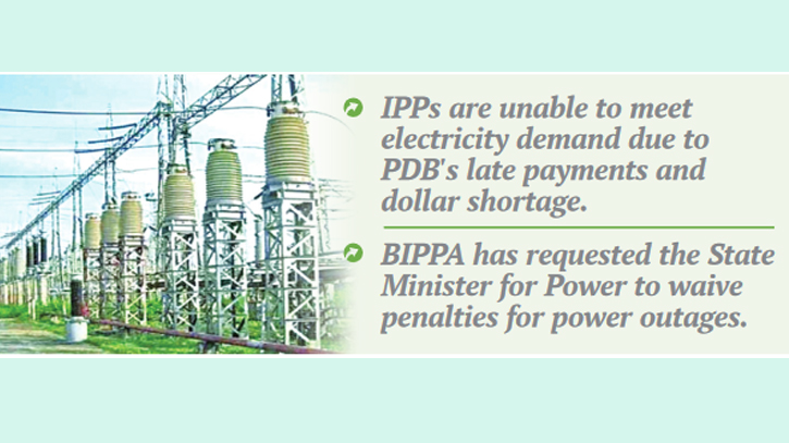 Private power plants halt supply unless paid dues