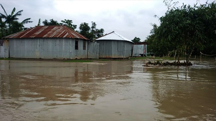 Teesta water is above danger level submerged grasslands-lowlands