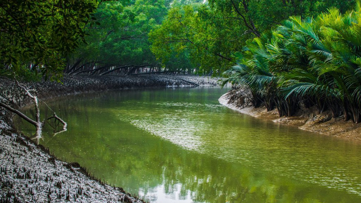 10 kidnapped fishermen rescued in Sundarbans