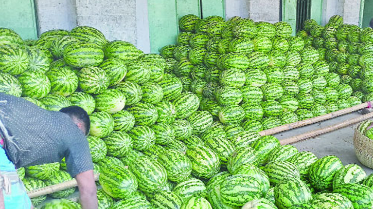 Traders reduce watermelon price due to boycott fear