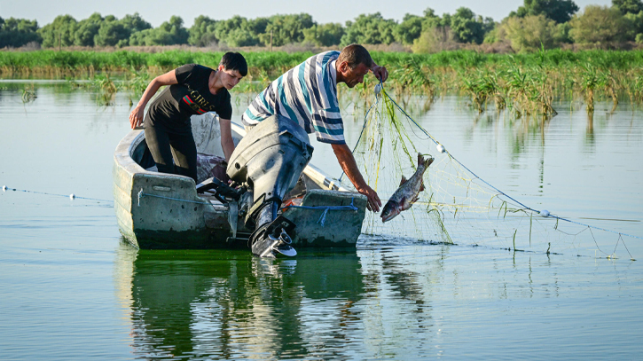 Reclaimed by floods, wildlife returns to Romania’s Danube Delta