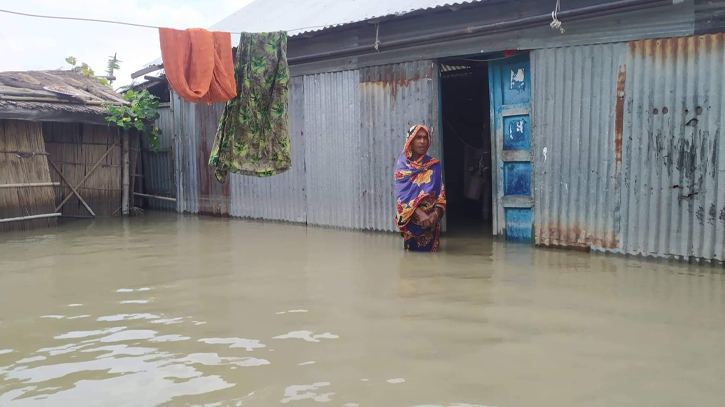 গাইবান্ধায় বিপৎসীমার ওপরে যমুনার পানি, চরাঞ্চল প্লাবিত