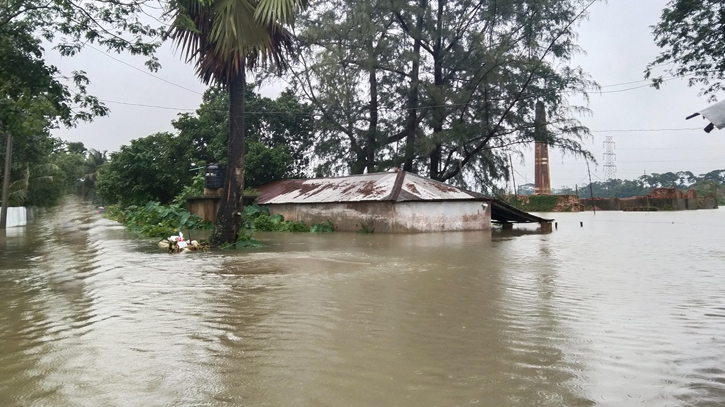 শেরপুরে বন্যার পানিতে ডুবে শিশুর মৃত্যু, নিহত বেড়ে ৯