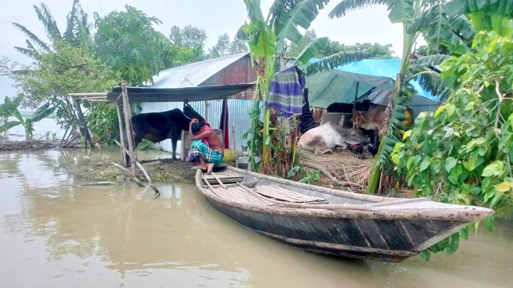 টাঙ্গাইলে বানভাসিদের ডায়রিয়ার প্রকোপসহ ছড়াচ্ছে পানিবাহিত রোগ