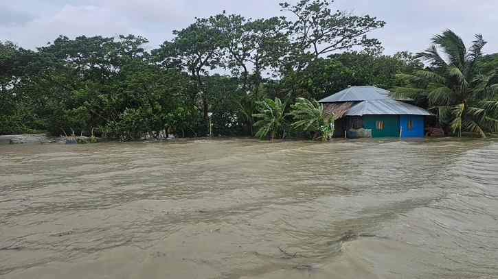 The locality is knee deep in water. Photo: Messenger